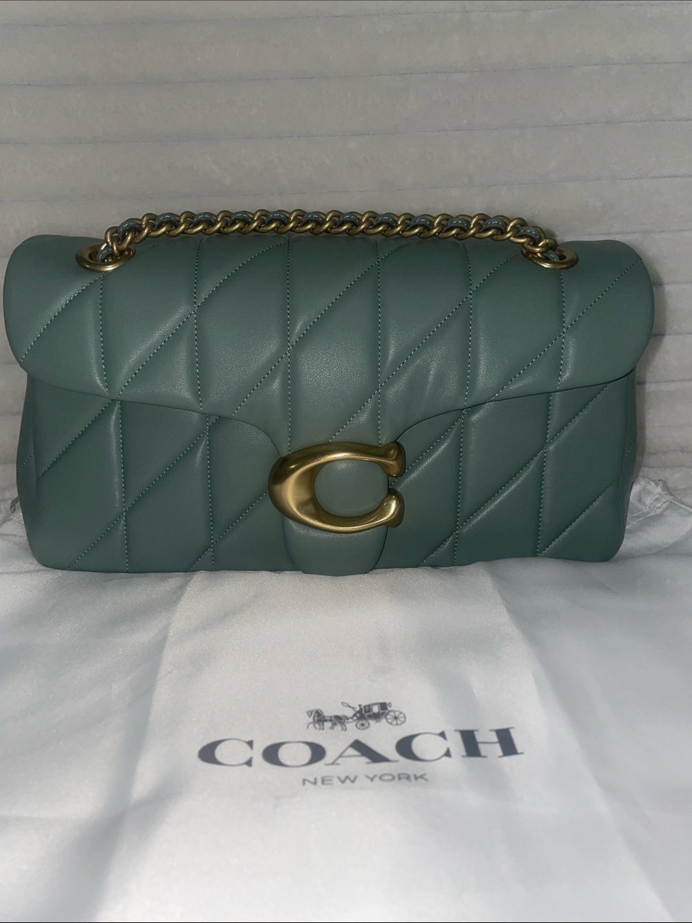 New Sage Coach Quilted Tabby 26 - Picture 2 of 13